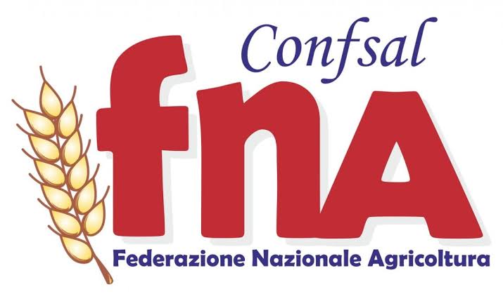 Confsal FNA